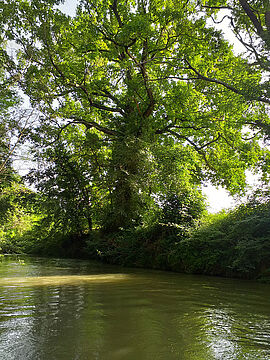 La rivière Gers à Chélan – Concours photo 2022 © CLE NRG - Agrandir l'image (fenêtre modale)