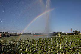 Irrigation – Isabelle Souriment  - Agrandir l'image (fenêtre modale)