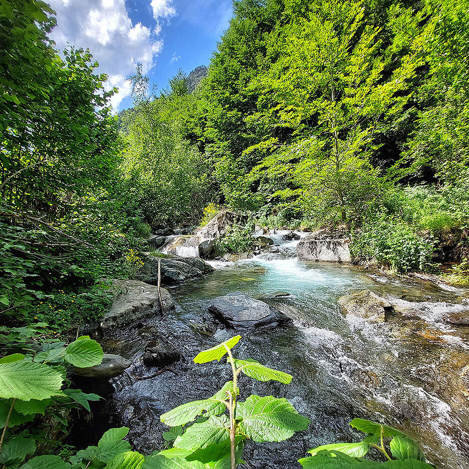 Neste de Couplan à Aragnouet - Concours photo 2022 © CLE NRG - Agrandir l'image (fenêtre modale)