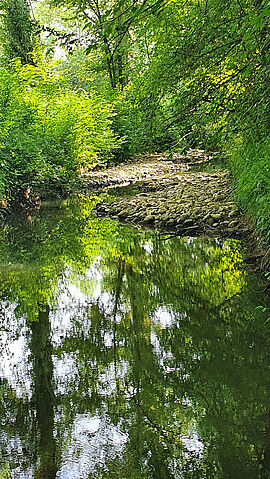 Rivière Auvignon à Calignac © CLE NRG - Agrandir l'image (fenêtre modale)